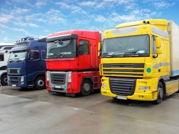 İzmir Şavşat Nakliye